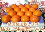 成田柿園ショッピングサイト