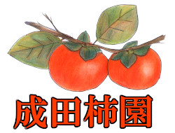 成田柿園