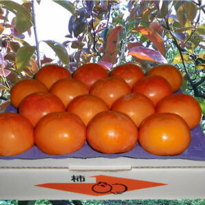 松本早生富有柿
